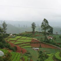 IMG_9802