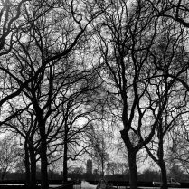 hyde park